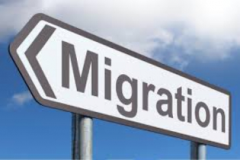 Migration/Update Ihrer poe-Lizenzen - nicht nur für die Rechtssicherheit im Jahr 2020